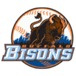 Buffalo Bisons