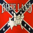 Dixieland Druggists