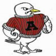 Knoxville Robins
