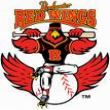 Nashville Redwings