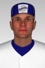 Goose Goslin