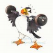 Vancouver Puffins