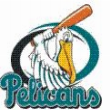 Florida Pelicans